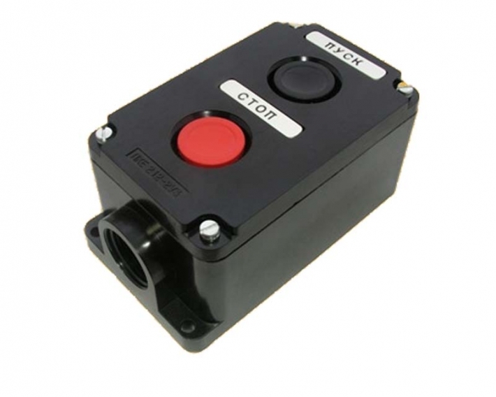 Кнопка поста ПКЕ 222-2  встраиваемый IP54 TDM